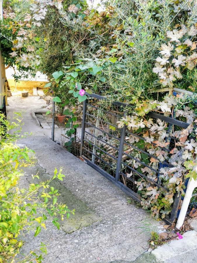 Amazing Apartment 100 Meters From The Old Town Rhodes City Kültér fotó